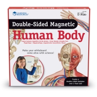 Cuerpo humano magnetico de dos planos - Learning resources
