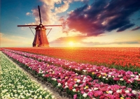 Rompecabezas paisaje de tulipanes 1500 piezas EDUCA